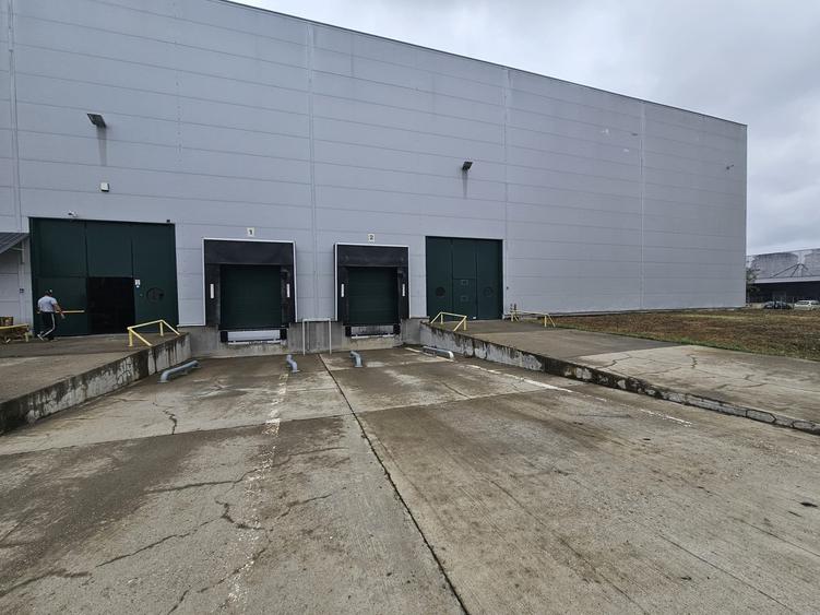 Hala industriala depozitare productie Giarmata - 1850 mp !! - 7