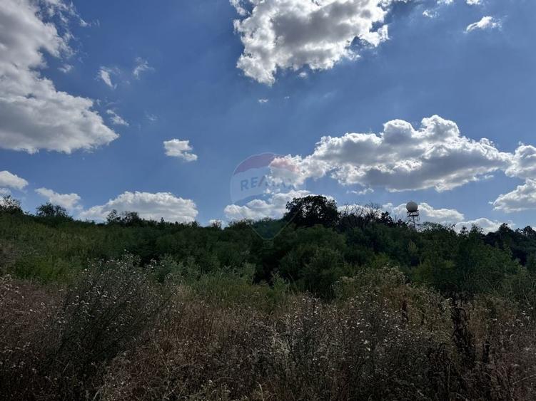 Teren  6.372mp Strs.Piersicilor/Str.Prunilor - 13