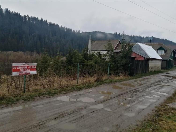 Teren intravilan Gheorgheni (str. Szarvas) - 2