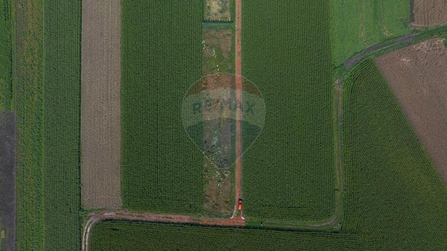 Teren de 1100 mp de vanzare in Stupini - 5