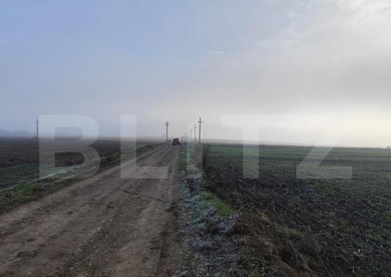 Teren 8400 mp extravilan, Miroslava-Vorovesti - 2