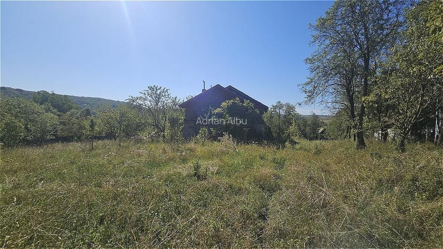 Proprietate cu potential turistic in sat Pietroasa, com. Moldovenesti, jud. Cluj