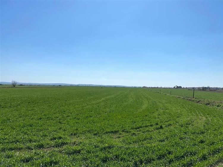 RECO Casa in  Tamaseu  18km de Oradea - 10