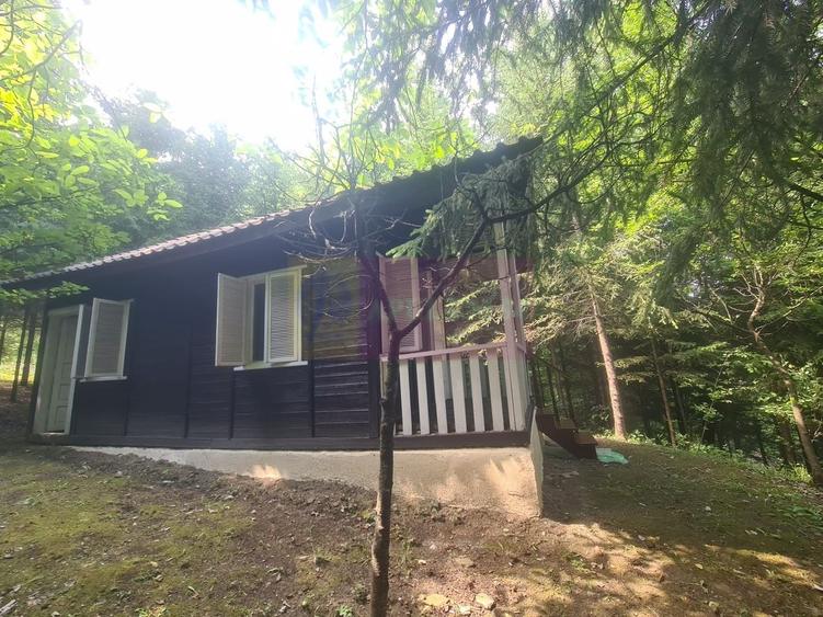 Vila de vanzare in Campina - Zona Lunca Mare - 36