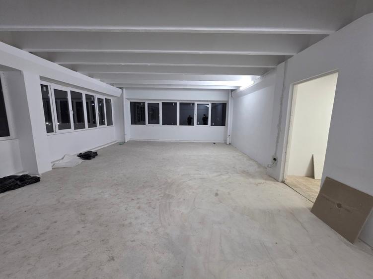 Theodor Pallady, 10 minute metrou 1 Decembrie 1918, stradal - 1