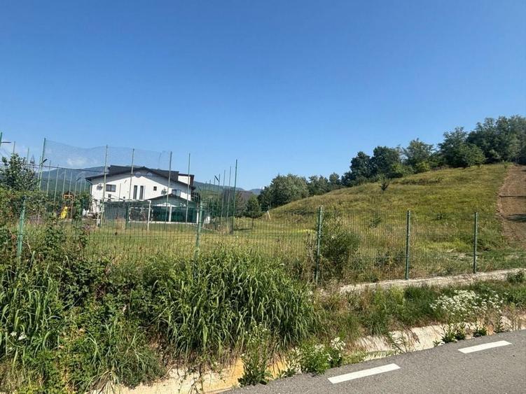 Teren Calimanesti 8//mp - 3