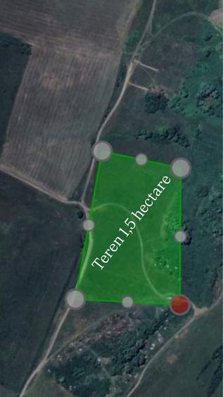 Teren 1,5 ha (15.000 mp) langa DN13 Rupea / zona turistica ideal cabane, pensiune, investitie. - 1
