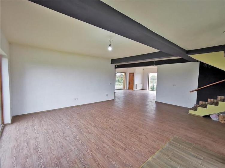 Vila Deosebita Rudicica - 9