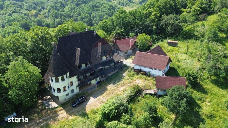 Castel De Vanzare In Maramures - 9
