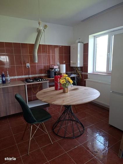 Casa Mlecanesti (Mischii) - 2