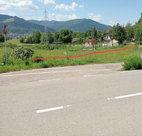 Pământ de vânzare: sat Viișoara, comuna Alexandru cel Bun (zona Gloduri drumul spre Bisericani) - 6