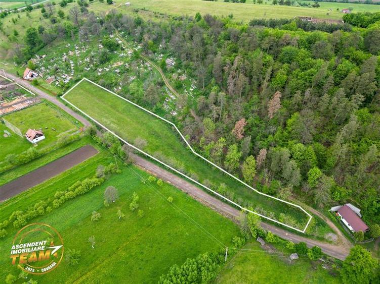 FILM! Teren intravilan, 6.500 mp, Papauti, Covasna - 7