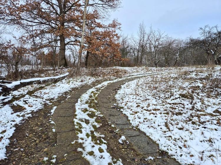 Moșia boierească din vârf de deal, Scorțeni - Prahova, comision 0% - 19