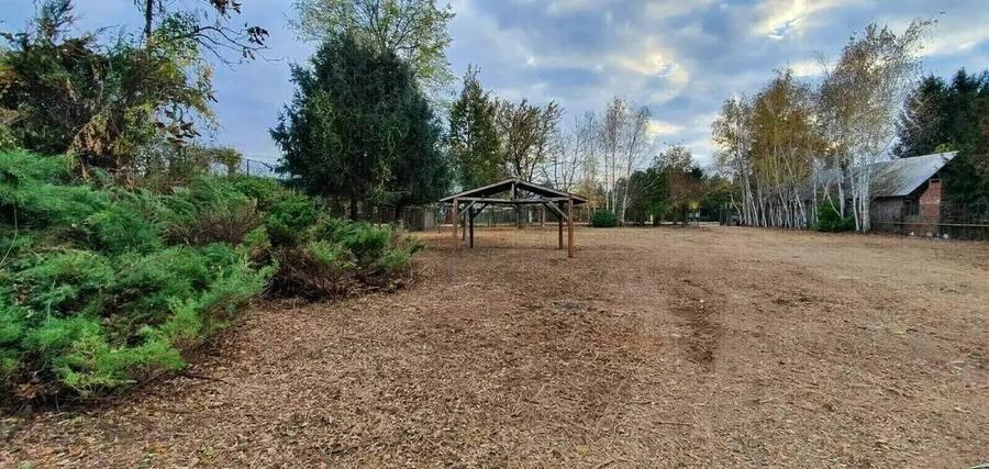 Teren cu Casa BONUS deschidere la Lacul Snagov - 1