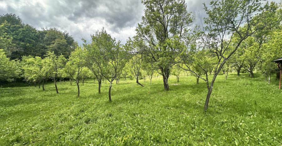 Teren intravilan 3102mp zona Racovita-Blanoiu - 3