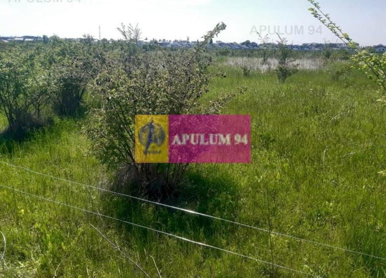 Teren bun mare și ieftin - 12