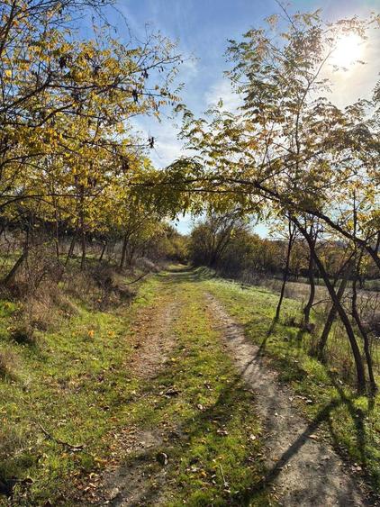 Teren intravilan 5140mp - 1