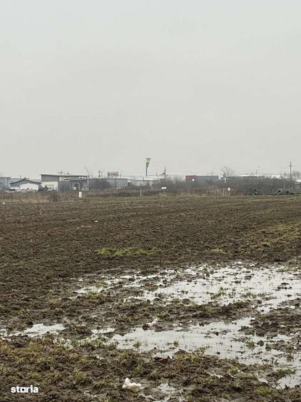 Teren 1250m de vanzare Ilfov - 9