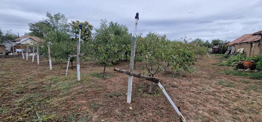 Casa de vanzare cu teren . - 1