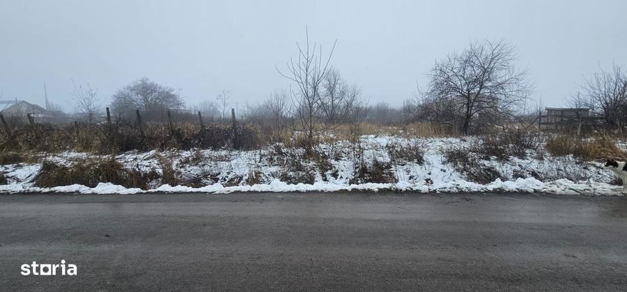 Exclusivitate MAG Invest Teren 2300 mp Vanatori, ideal investitie - 6