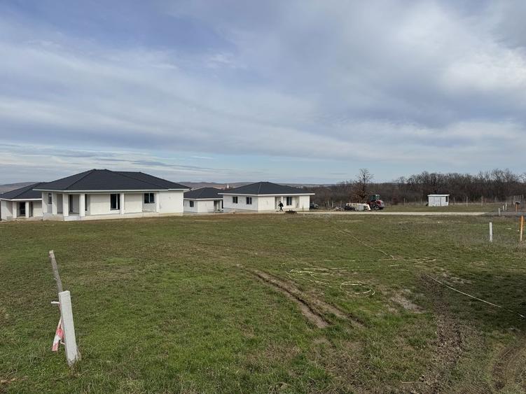 Teren str.Piersicilor Paleu - 2