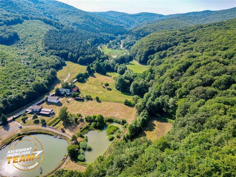 FILM! Teren extravilan pe 2.737mp,zona pretioasa,acces facil,Dobarlau,Covasna - 12