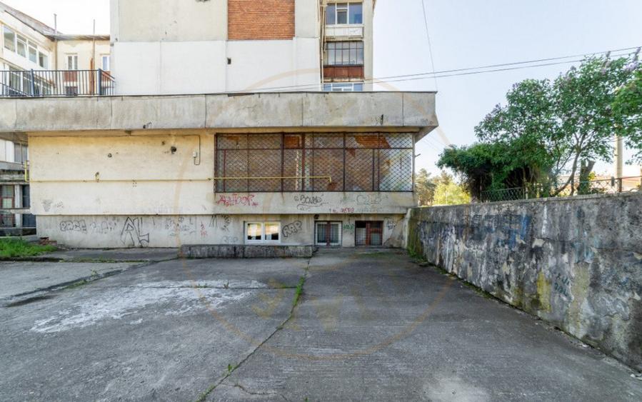 Inchiriere spatiu de depozitare 247 mp, curte 158 mp, Campul - 6