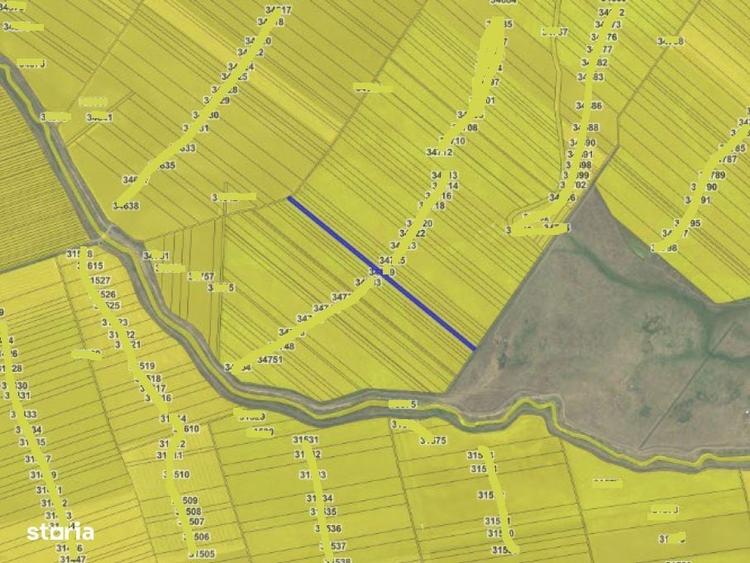 Teren Extravilan- Loc. Barca, jud. Dolj - 1