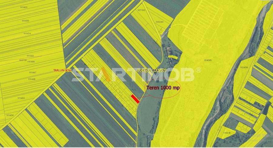 Teren Intravilan Tarlugeni - 3