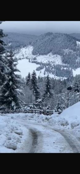 DIRECT PROPRIETAR Atractiv pentru pensiune/casa de vacanta): Teren de Poveste la Munte 6.000 mp Intravilan + 6.000 mp Extravilan,Dorna Arini-Ortoaia - 6