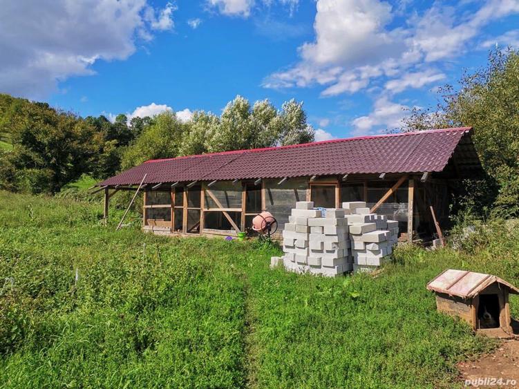 Proprietar Vand casa - 4