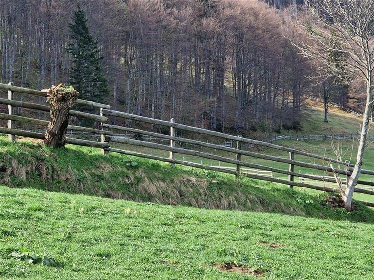 7.000 mp, pozitie spectaculoasa, fara vecini, Fundatica, Brasov - 2