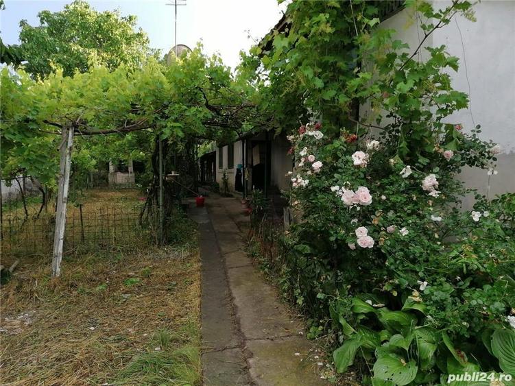 Casa si teren VARTOP; DOLJ - 10