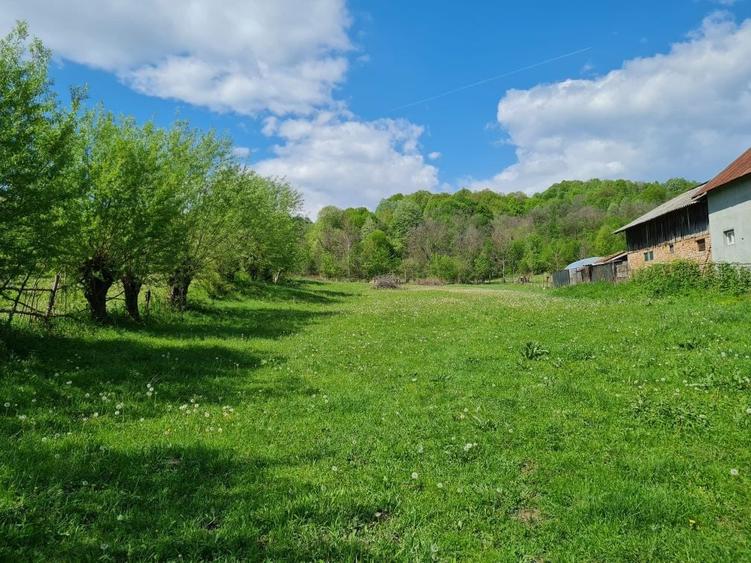 Teren intravilan de vanzare - 2