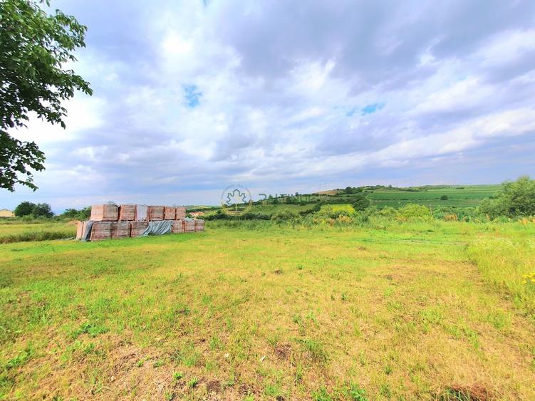 Teren intravilan 717 mp – Sura Mare, Sibiu - 1