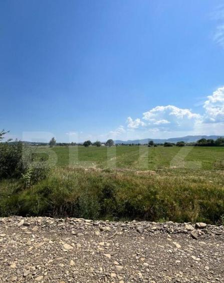 Oportunitate de investitie!! Teren extravilan,4000 mp, Vicov - 4