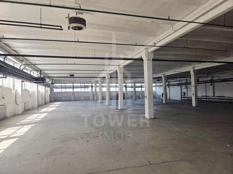 Hala generosa de închiriat . - 3