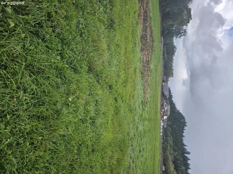 Teren intravilan9 - 1
