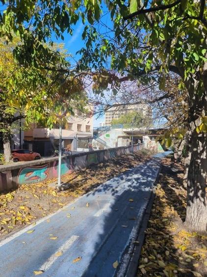 Inchiriere apartament 2 camere - Central, vedere la Mures, etaj 1 - 12