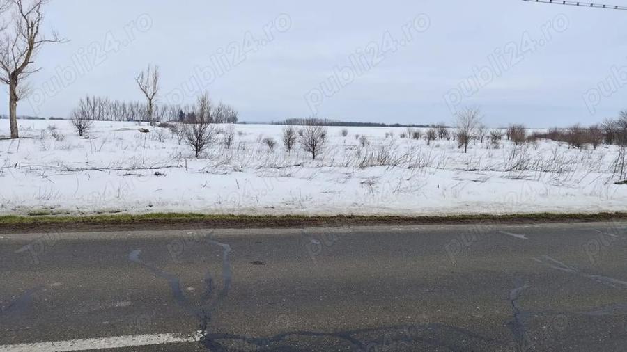 INCHIRIEZ teren in Frumusani - 5