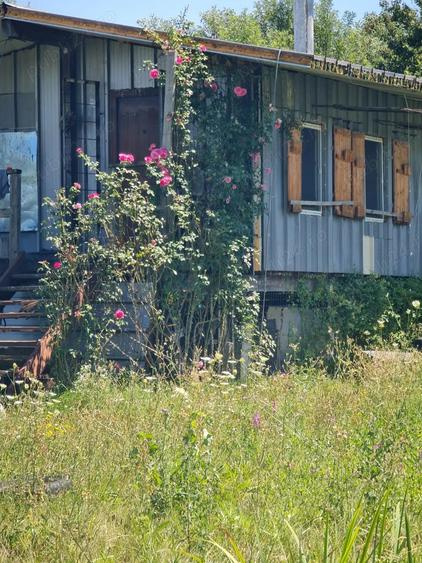 Vand teren pe malul lacului de la Pischia. Un front la lac altul la 30m de padure - 3