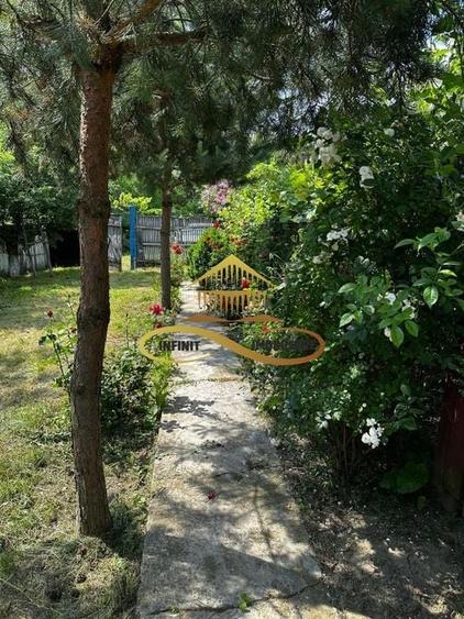 Casa batraneasca cu 2ha de teren de vanzare in sat Balaia / Bacau - 23