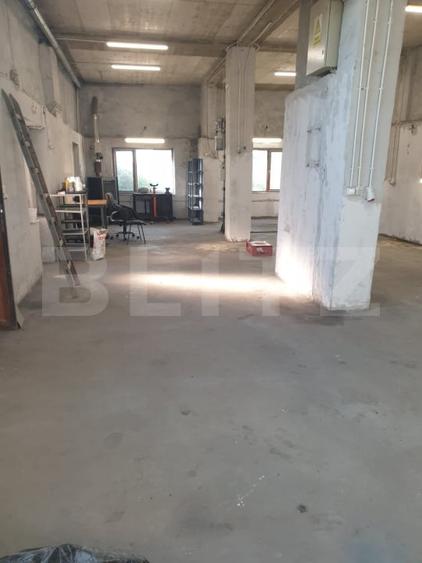 Hala/depozit/service auto, 380 mp, Dudovicesti - com. Simnicu de Sus - 7