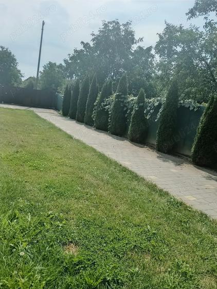 Vand casa 6 camere - 4