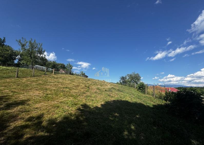 TEREN INTRAVILAN, SUPRAFA?A 3446 MP, BUGHEA DE SUS, ARGES - 1