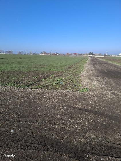 Teren intravila de construit - 4