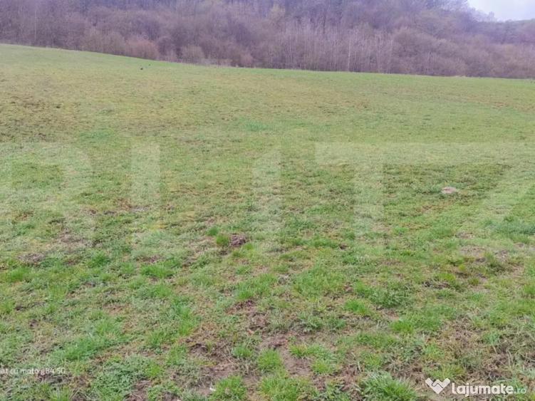 Teren superb 2.500 mp in Nicula lini?te, natura ?i p - 4