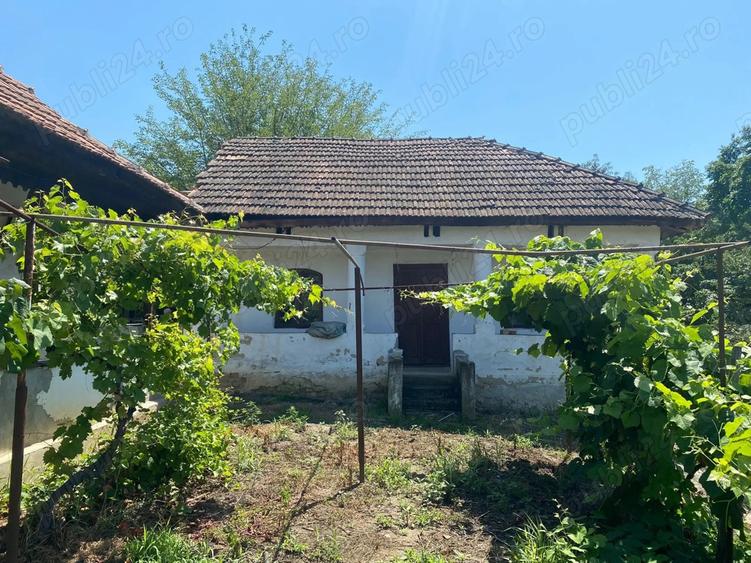 Teren + casa Hinova - 1