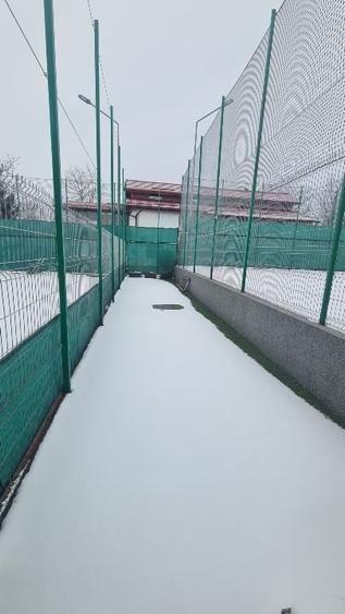 Teren de vânzare – 1322 mp în Mogoșoaia, investiție excelenta - 5