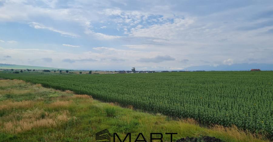 Casa individuala 120mp cu teren 486mp Sura Mica - 17